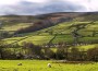 Yorkshire Dales Farmland Yorkshire Dales Farmland